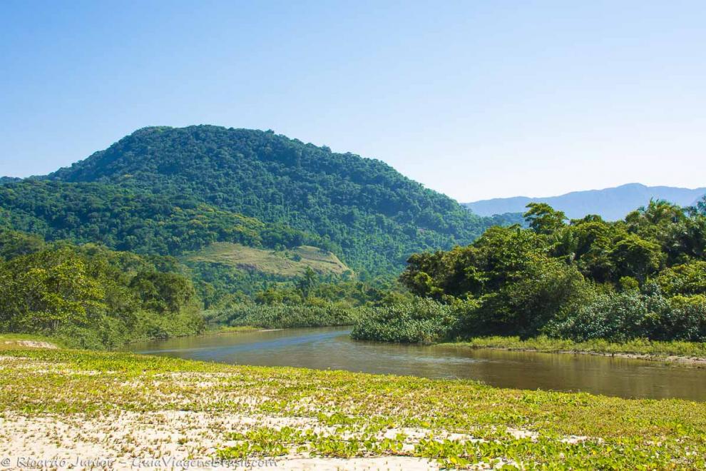 Imagem da linda floresta no canto da Praia do Puruba.